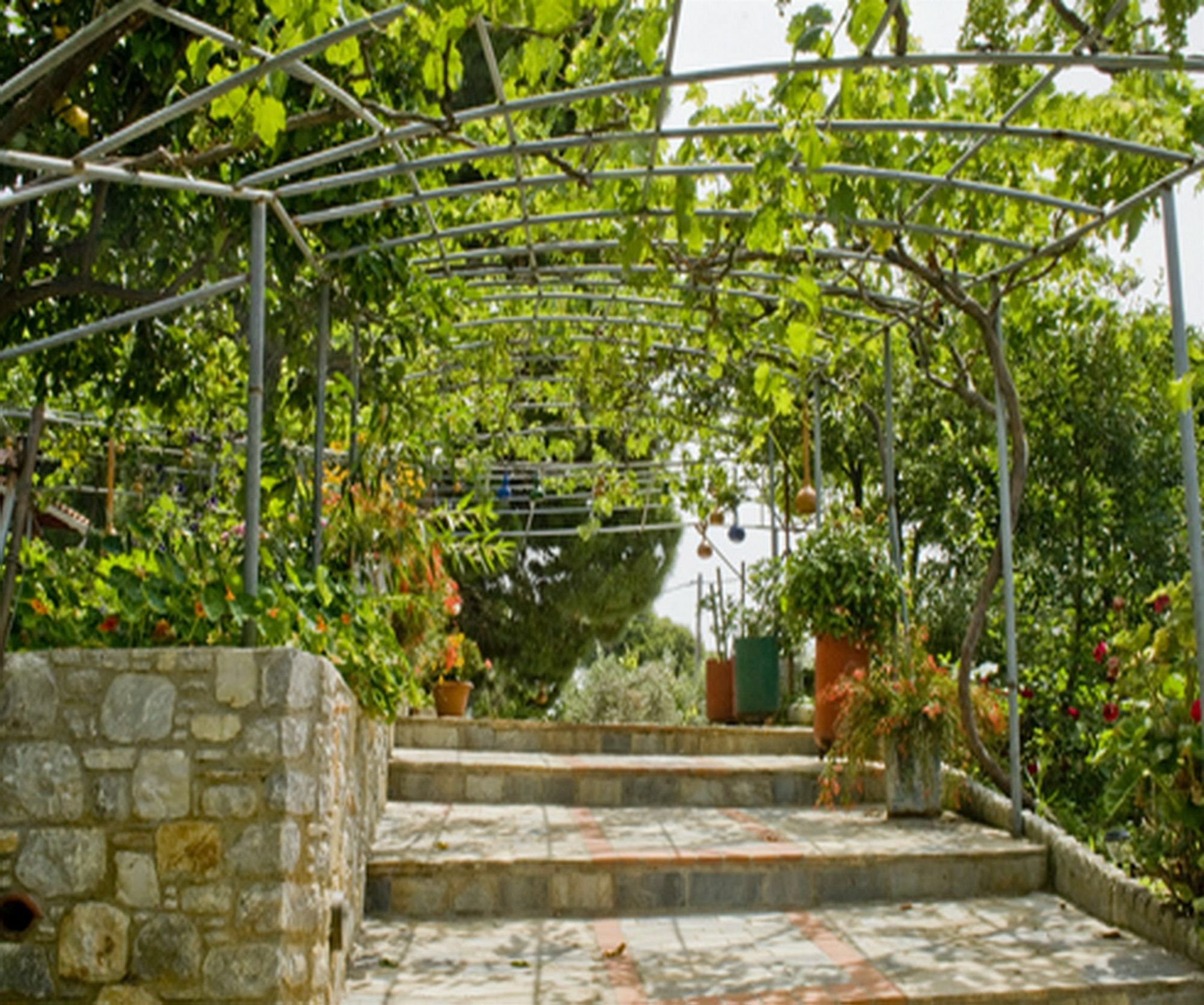 Kavourakia Appart hôtel Kolios